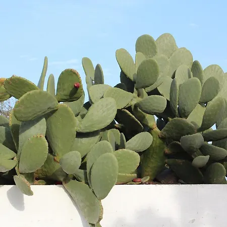 Affittacamere La Casa Bianca *