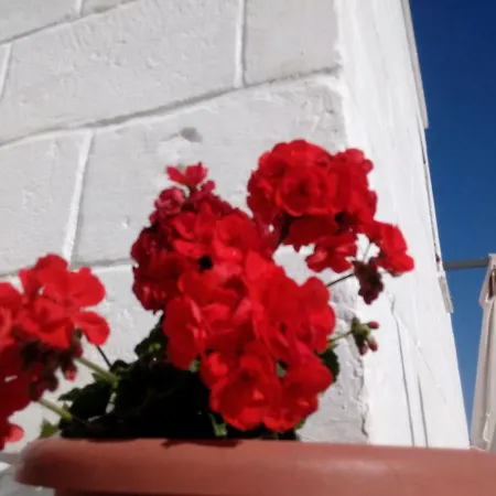 La Casa Bianca Affittacamere Monopoli