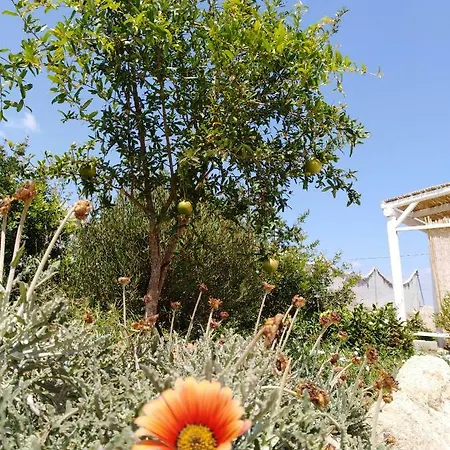 La Casa Bianca